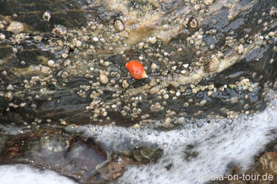Das Wasser schäumt am Ufer. Jenni und Falk kämpfen derweil im Kajak auf dem offenen Meer gegen die steigenden Wellen