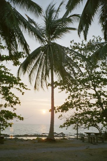 Mein Fräulein sein sie munter,
Dies ist ein altes Stück:
Hier vorne geht sie unter
Und kehrt von hinten zurück.
Heinrich Heine