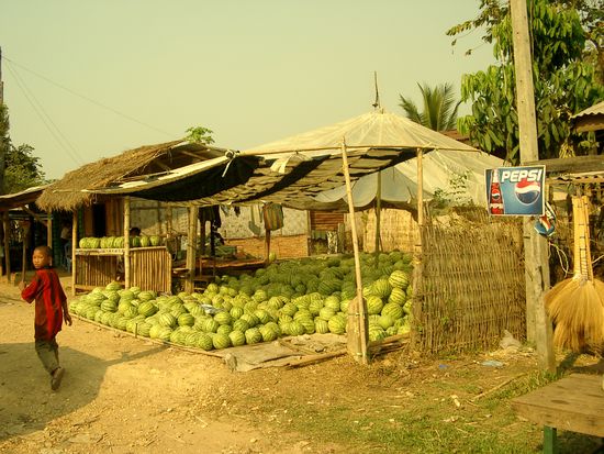 Beim Melonenhändler. Hier gibt's Melonen mit gelbem Fruchtfleisch, die aber fast genauso schmecken wie die roten.