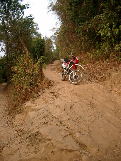Per Elefantenpfad zum Gipfel.