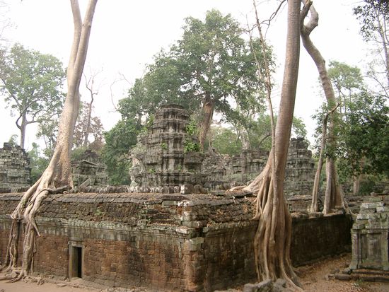 Da sag noch mal einer, DER MENSCH sei unersättlich.