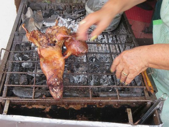 Meerschweinchen auf dem Grill