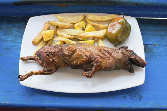 Cuy (Meerschweinchen) mit Pommes