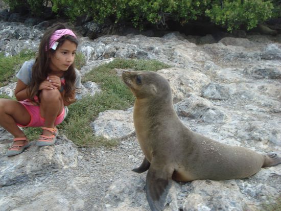 Mensch meets Seelöwe!