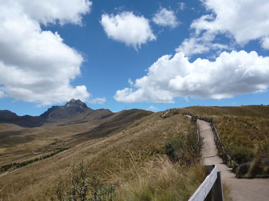 Der Gipfel des Pichincha von der Bergstation der Seilbahn aus gesehen: laut GPS 8 Kilometer Fußmarsch entfernt. Ob's stimmt, weiß ich nicht.
Sieht das nicht putzig aus? So schwer kann's wohl nicht sein! 