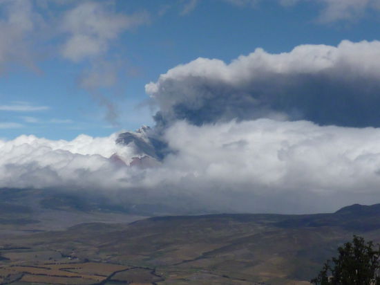 Der tut nix. Der will nur spielen...
(Die rotbraunen Bereiche sind die Flanken des Cotopaxi, darüber sieht man weiß den Gletscher.)