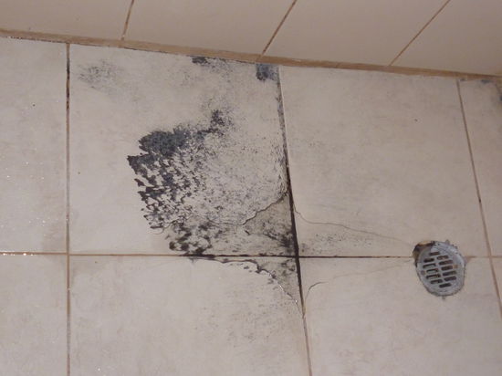 Beim Duschen dasselbe: Vulkanasche, Rorschachtest, Penis.