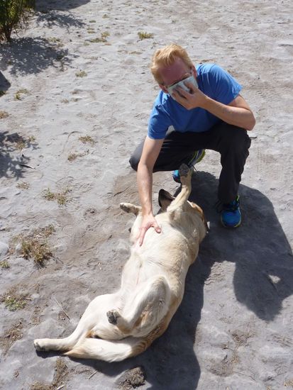 Woher ich weiß, dass der aufgewirbelte Staub Vulkanasche ist? Wir befinden uns 10 Meter von obigem Dachfenster entfernt, das jeden Tag mit neuem Muster aufwartet.