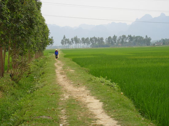 ...gruen wohin du schaust ...