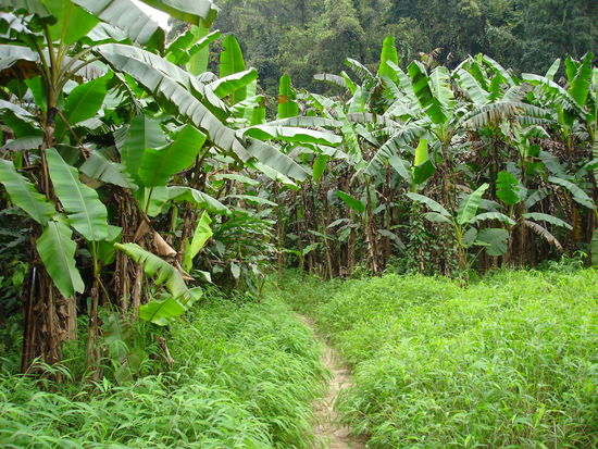 ..erkennt ihr den Weg...