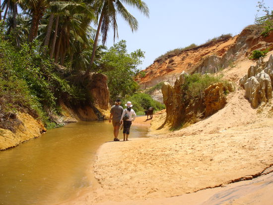 ...am Ende des Weges erreichten wir den Fairy Stream Waterfall, der Weg war schoener!