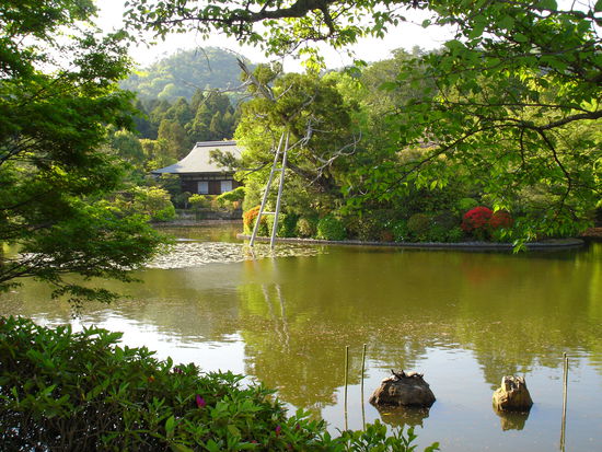 Teich in der Anlage des Ryoanji-Tempels