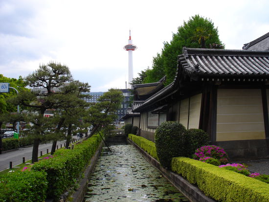 immer noch in Kyoto mit Tower im Hintergrund