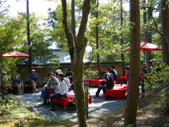 ...kleine Teepause ist immer gut...und dann...