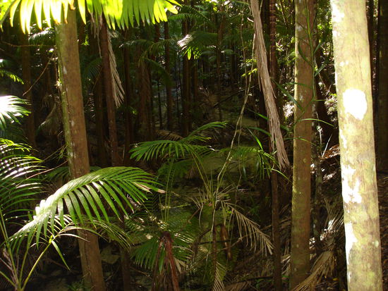 ...wir sind nicht vom Weg abgewichen-wg. der Sicherheit-