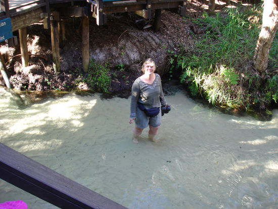 ...gesundes Wassertreten...