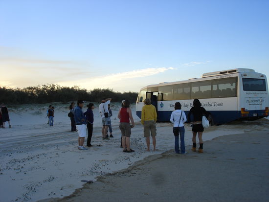 ...alle raus aus dem Bus und ihr seht bis wohin das Wasser schon kommt --
...jetzt wird es eng - meint auch der Guide...