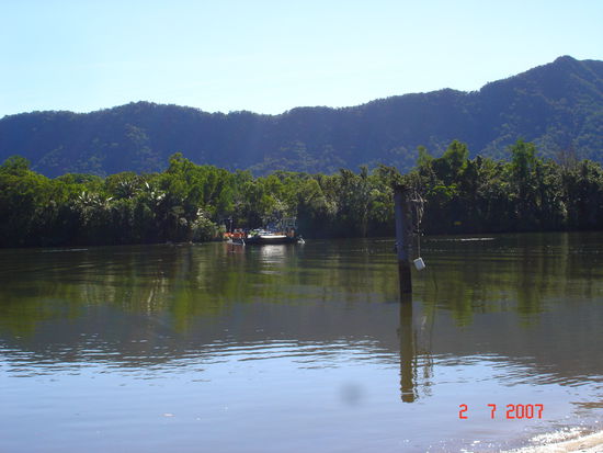 Daintree River