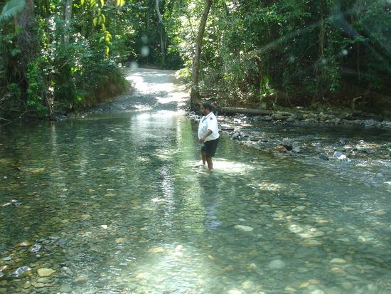 mein super Busfahrer...zieht fuer mich sogar die Socken aus...