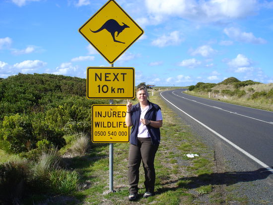 oder so...diese Tiere sind natuerlich nicht geflogen...