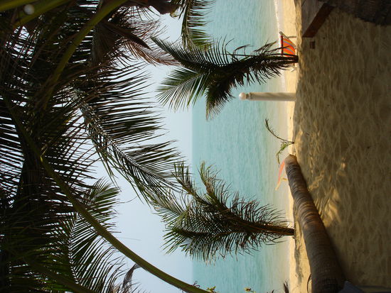 Blick von unserem Bungalow