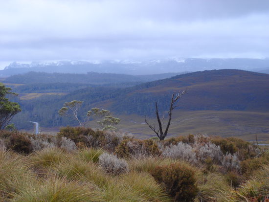 ..einfach tolle Farben...