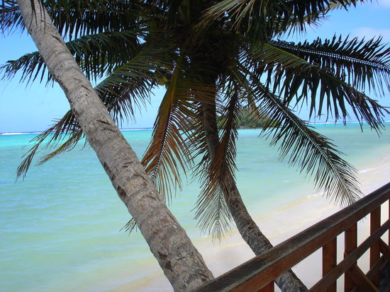 Blick von der Terrasse