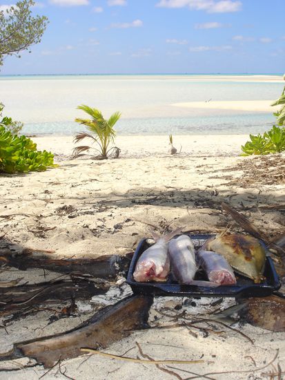 ..wer moechte hier nicht Grillmeister sein...