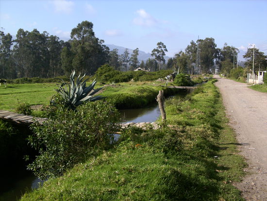 der idyllische Weg am Morgen zum Kindergarten...