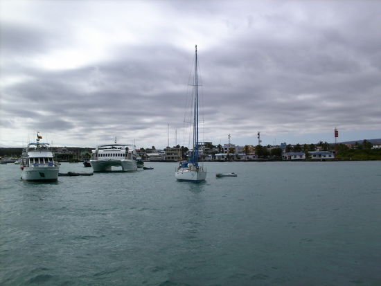 Bucht von Puerto Ayora