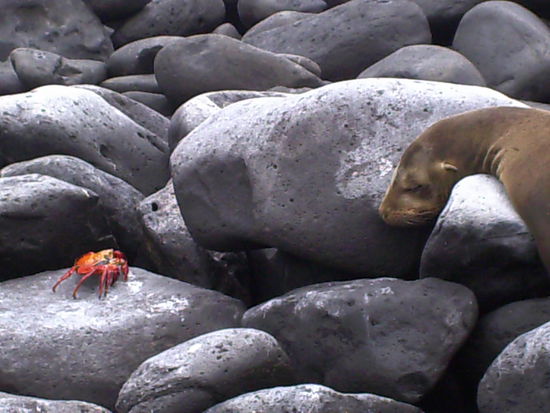 unglaublicher Schnappschuss