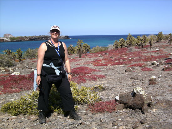 ..meine Lieblingsinsel Laz Plazas..