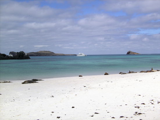 ...die andere Seite von Espagnola