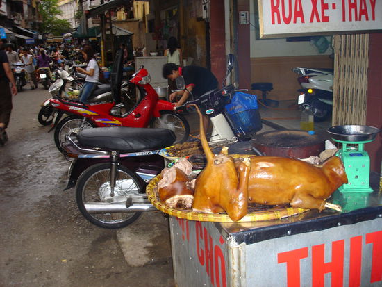 'halbes Schwein auf Toast' neben der Mopedwaschanlage