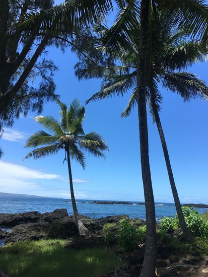 Carl Smith Beach Park