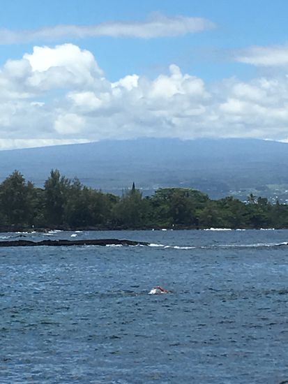 Blick auf den Mouna Kea