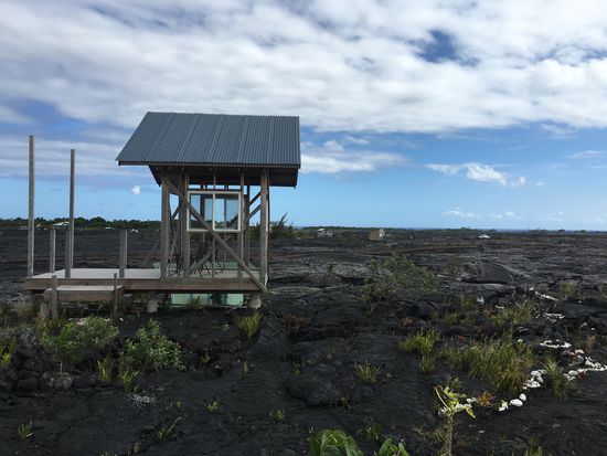 Fenster sind schon eingebaut