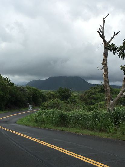 Blick auf den Mouna Loa