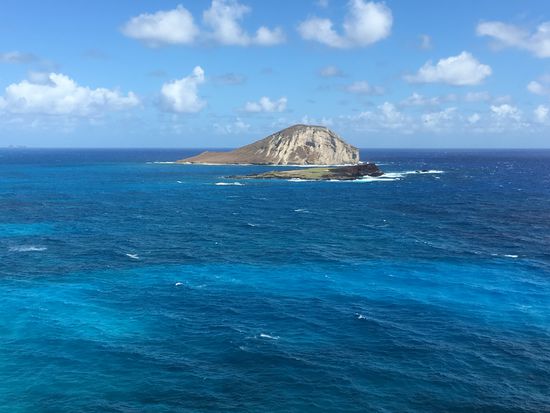 Rabbit und Shark Fin Island