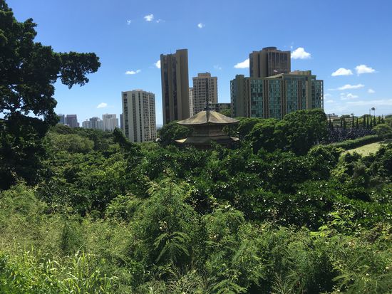 ein kurzer Blick auf Honolulu