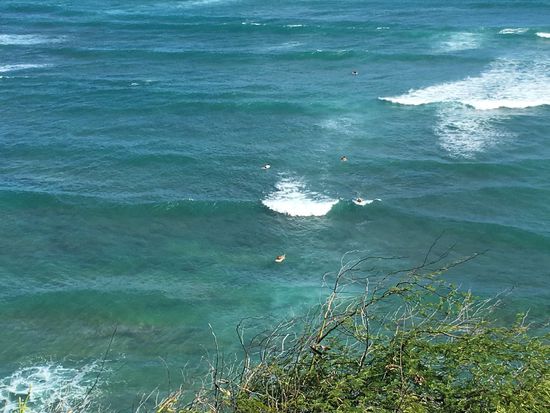 Könnt ihr die Surfer sehen