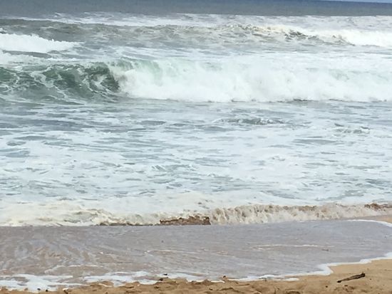 heute sind die Surfer in ihrem Element