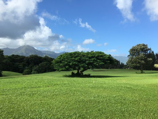 Blick auf den Golfplatz