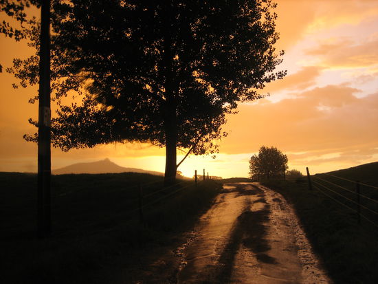 auf dem Weg nach Waitomo