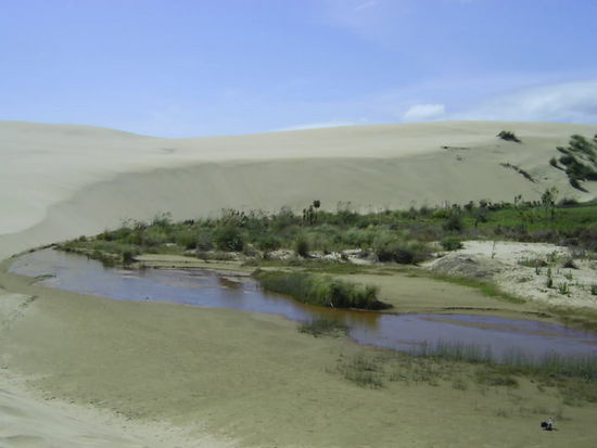 Riesige Dünen am Ninty Mile Beach