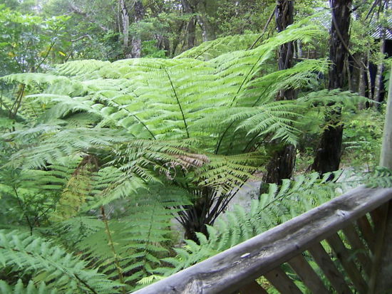 Blick direkt von unserer kleinen Hotel-
Lodge.