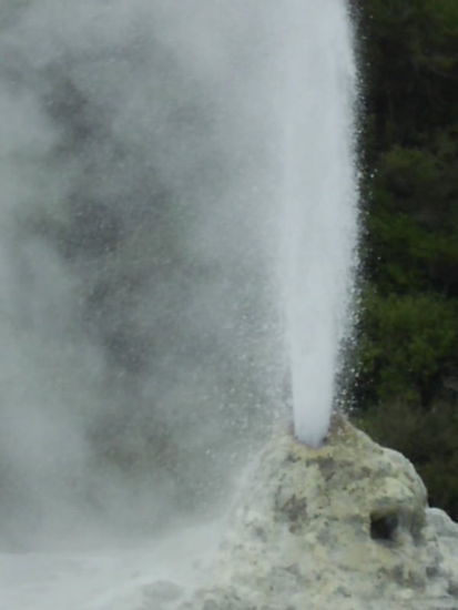 Geysir Lady Knox