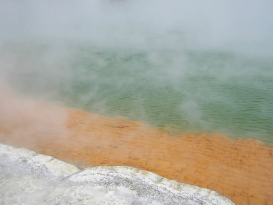 Schwefelsee in Waiotaupo