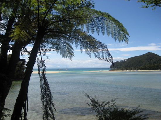 Bucht im Abel Tasman NP