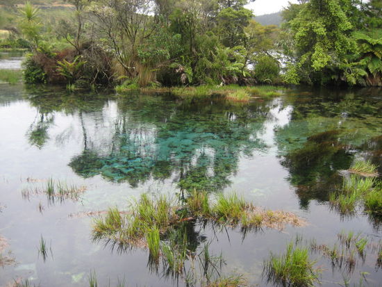 Quarz-Gewässer Pupu-Springs